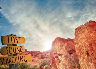 Co to jest doskonalenie zawodowe nauczycieli? Co to jest doskonalenie zawodowe nauczycieli?