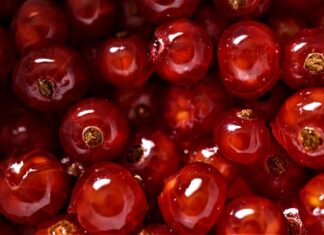 Jakie pracę są dobrze płatne bez studiów?