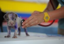 Jakie są formy kształcenia? Jakie są formy kształcenia?