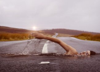 Jakie zawody są po humanie?