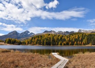 Co się robi na stażu w biurze rachunkowym?
