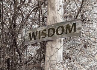 Ile wynosi stypendium za szkolenie? Ile wynosi stypendium za szkolenie?