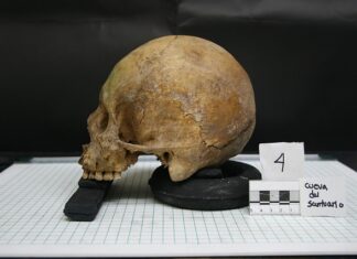 Gdzie można studiować antropologię?