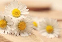 Czy egzamin PMP jest trudny? Czy egzamin PMP jest trudny?