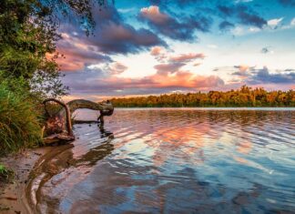 Co się stanie jak nie zapłacę raty kredytu?
