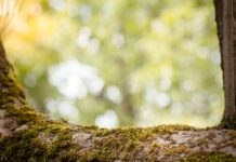 Jak sprawdzić czy mam zdolność kredytowa?