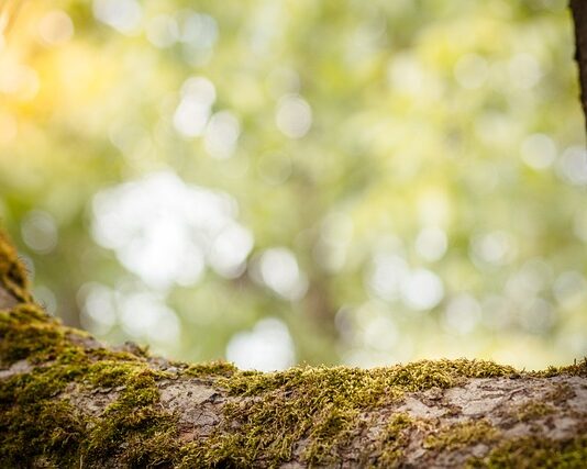 Jak sprawdzić czy mam zdolność kredytowa?
