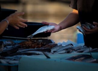 Jak sprzedawać bez podatku?