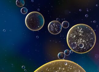 Kto decyduje o zawieszeniu nauki w szkole i przejściu na nauczanie zdalne w jakich przypadkach? Kto decyduje o zawieszeniu nauki w szkole i przejściu na nauczanie zdalne w jakich przypadkach?