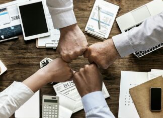 Na czym polega budowanie wizerunku w sieci?