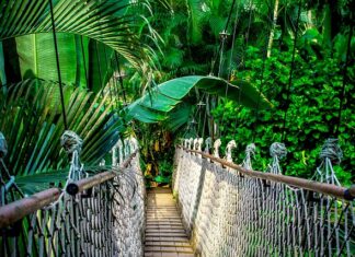 Co daje kurs z księgowości?