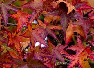 Jak uratować szkołę przed likwidacja?