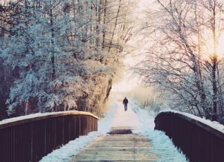 Ile dni praktyk jest w zawodówce? Ile dni praktyk jest w zawodówce?