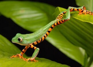 Co to jest CKZ? Co to jest CKZ?