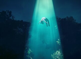 Do jakiego stopnia można dojść w policji bez studiów?