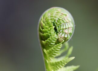 Co robić żeby się rozwijać? Co robić żeby się rozwijać?