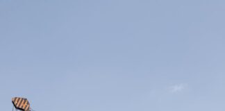 Ile udźwignie podnośnik teleskopowy